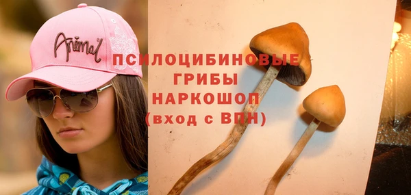 каннабис Белокуриха