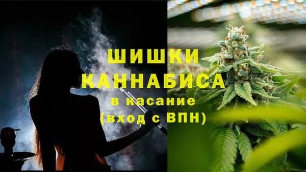 каннабис Белокуриха