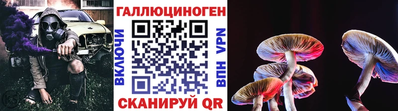 Псилоцибиновые грибы GOLDEN TEACHER  Купить где  Дно 
